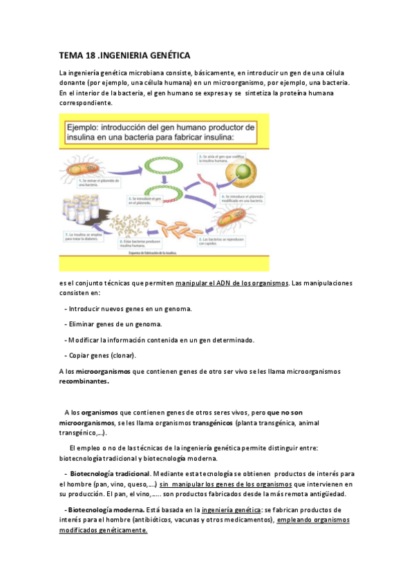 Miniatura del documento T18.pdf