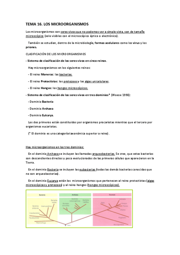 Miniatura del documento T16.pdf