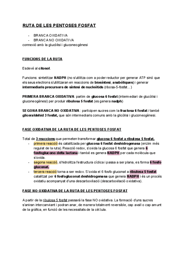 Miniatura del documento TEMA-12-RUTA-PENTOSES-FOSFAT.pdf