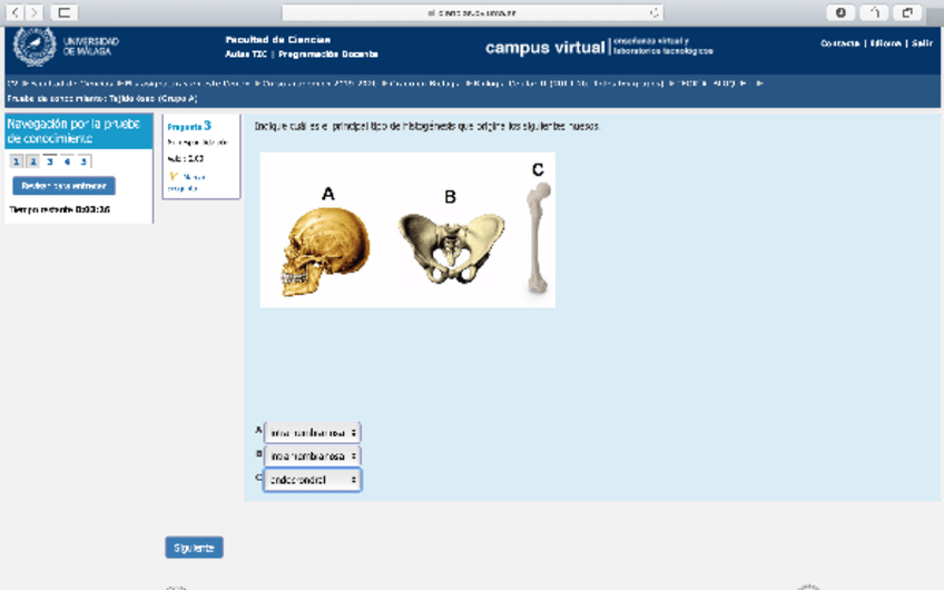 Miniatura del documento Cuestionario-tejido-oseo-BC-II.pdf