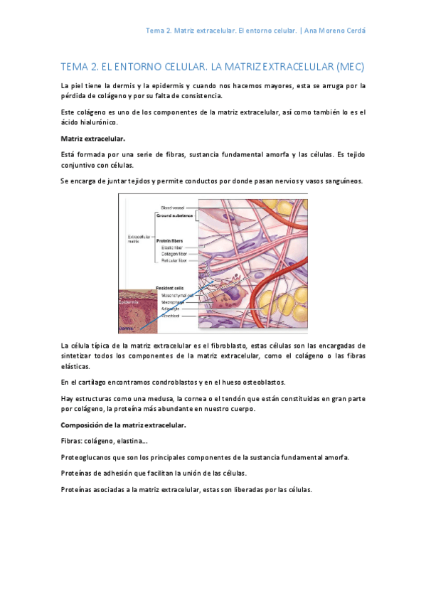 Miniatura del documento 2.pdf