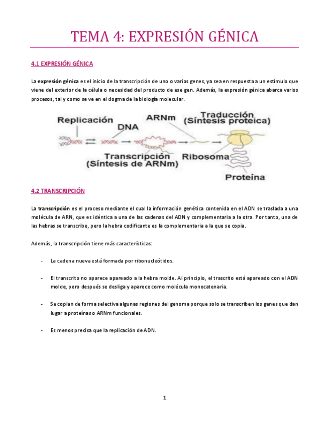 Miniatura del documento TEMA-4-bueno.pdf