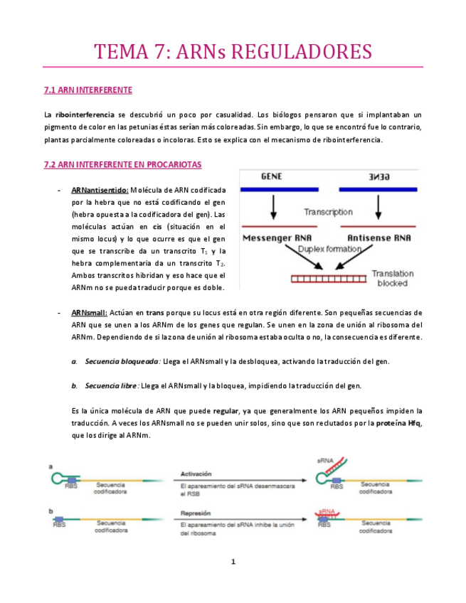 Miniatura del documento TEMA-7-bueno.pdf