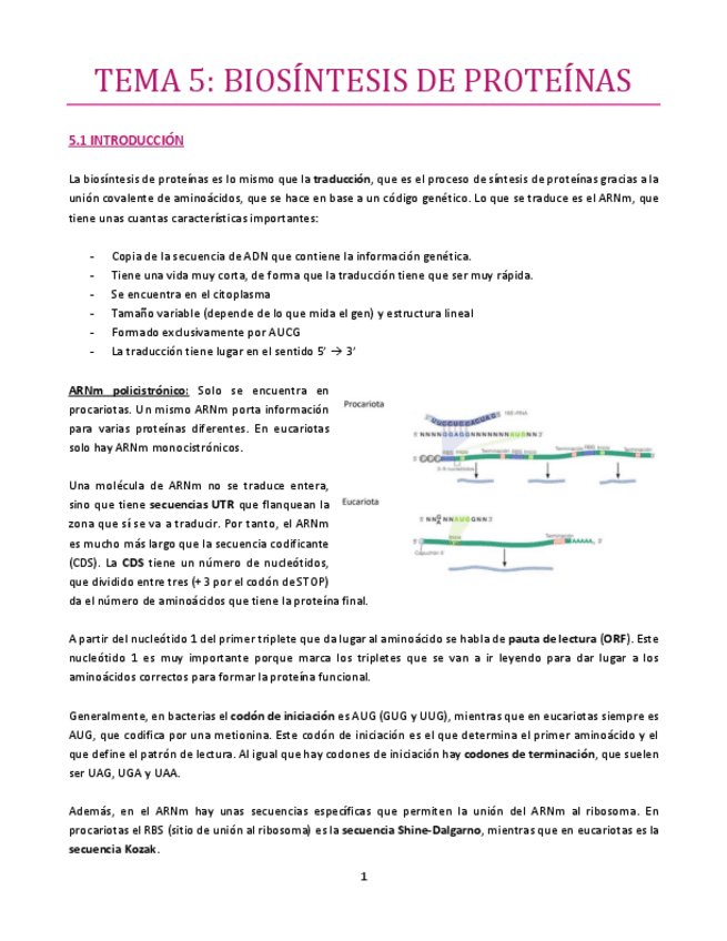 Miniatura del documento TEMA-5-bueno.pdf