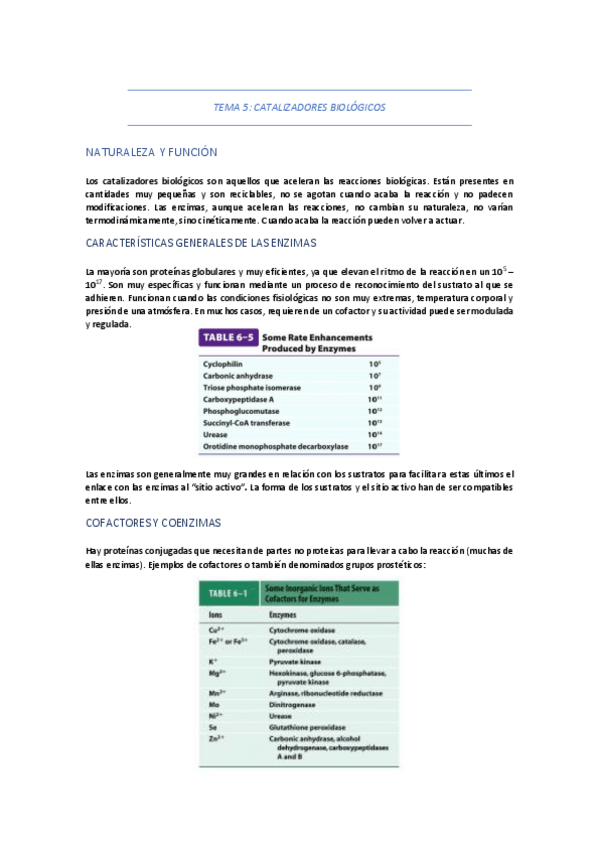Miniatura del documento TEMA-5-CATALIZADORES-BIOLOGICOS.pdf