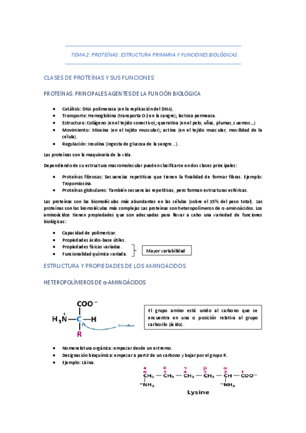 Miniatura del documento TEMA-2-PROTEINAS-ESTRUCTURA-PRIMARIA-Y-FUNCIONES-BIOLOGICAS.pdf