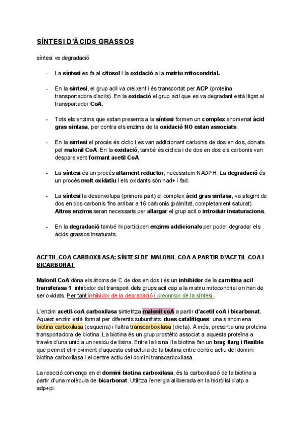 Miniatura del documento TEMA-15-SINTESI-DACIDS-GRASSOS.pdf