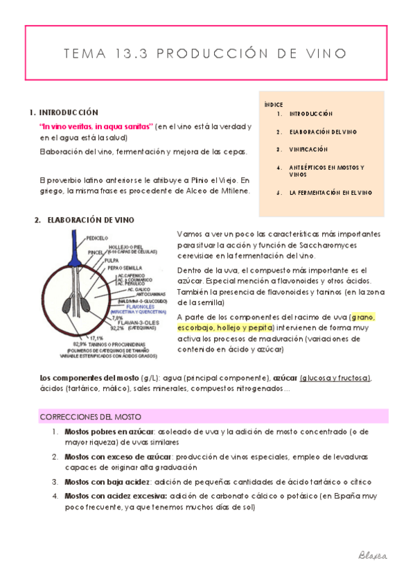 Miniatura del documento TEMA-13.pdf