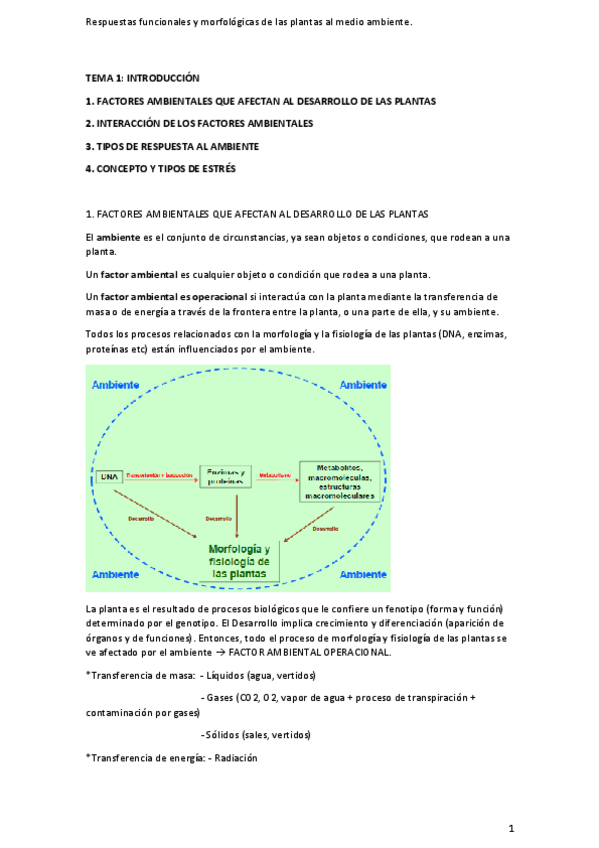 Miniatura del documento ApuntesPlantasPrimerParcial.pdf