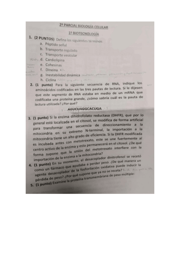 Miniatura del documento 2o-Parcial-Biologia-Celular-2019-2020.pdf