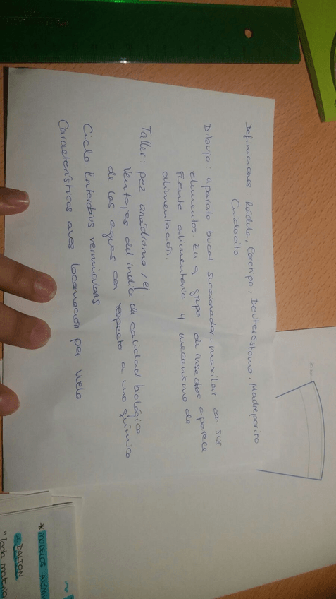 Miniatura del documento IMG-20160829-WA0006.jpg