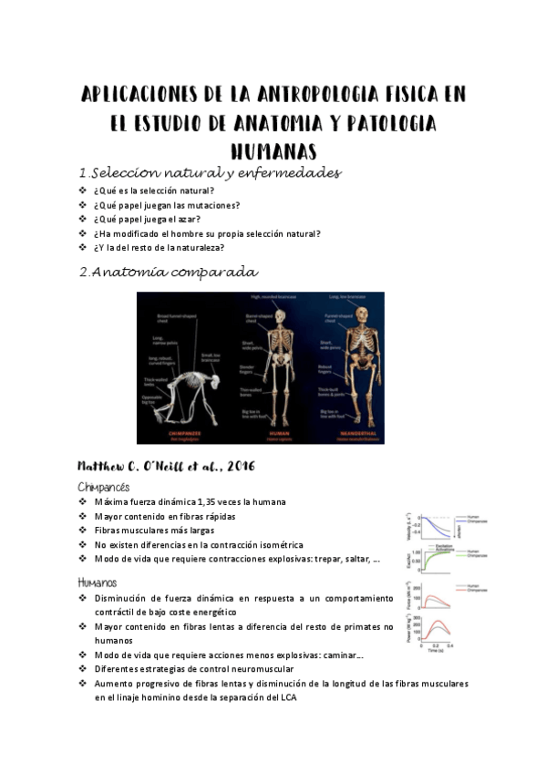 Miniatura del documento ANATOMIA-COMPARADA.pdf