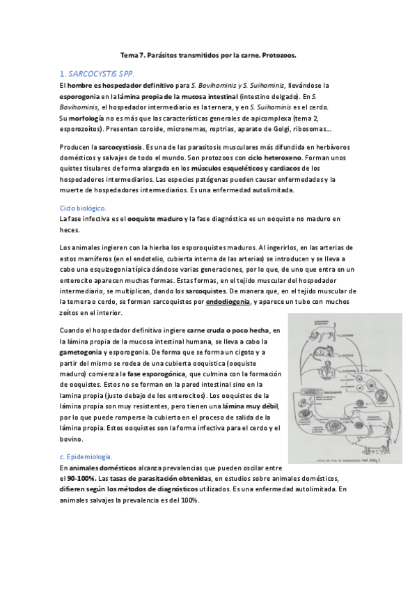 Miniatura del documento TEMA-7.pdf