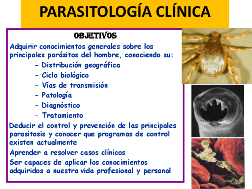 Miniatura del documento Tema-1a.pdf