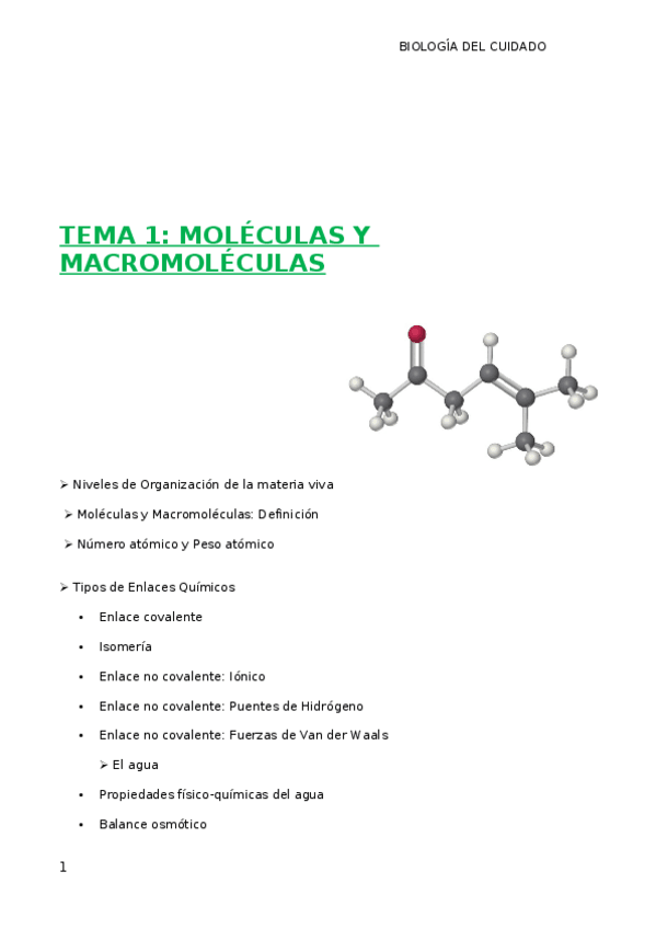Miniatura del documento TEMA-1.docx