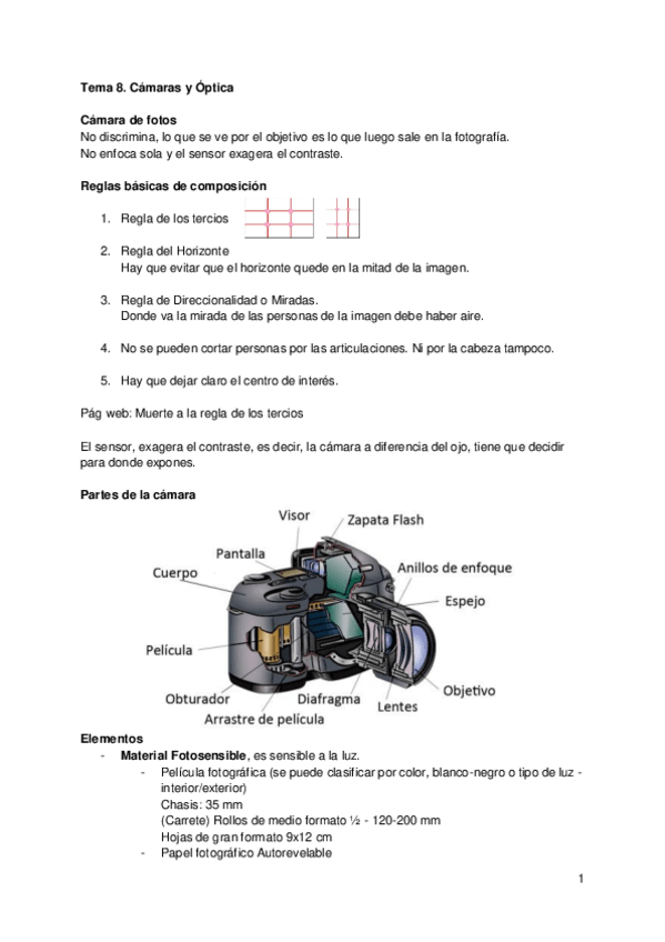 Miniatura del documento resumencamaras.pdf