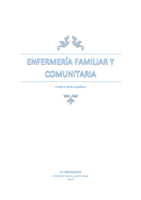 Miniatura del documento COMUNITARIA-SANTISTEBAN.pdf