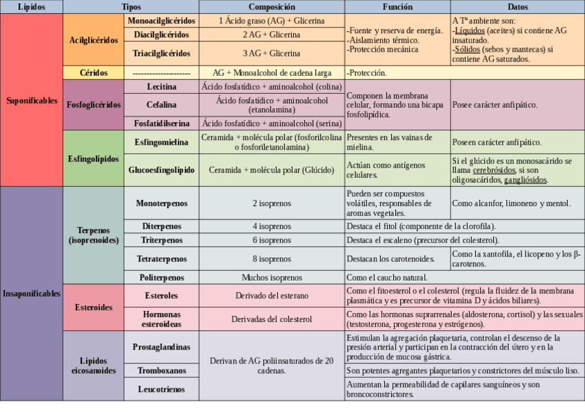 Miniatura del documento Tabla-de-lipidos.pdf