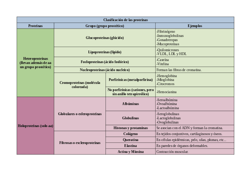 Miniatura del documento Tabla-clasificacion-proteinas.pdf
