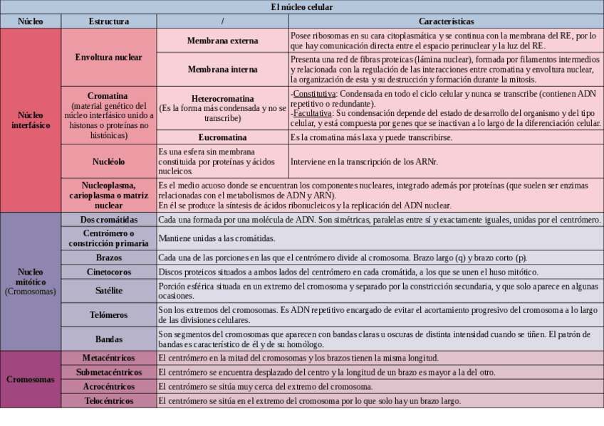 Miniatura del documento Tabla-del-nucleo-celular.pdf