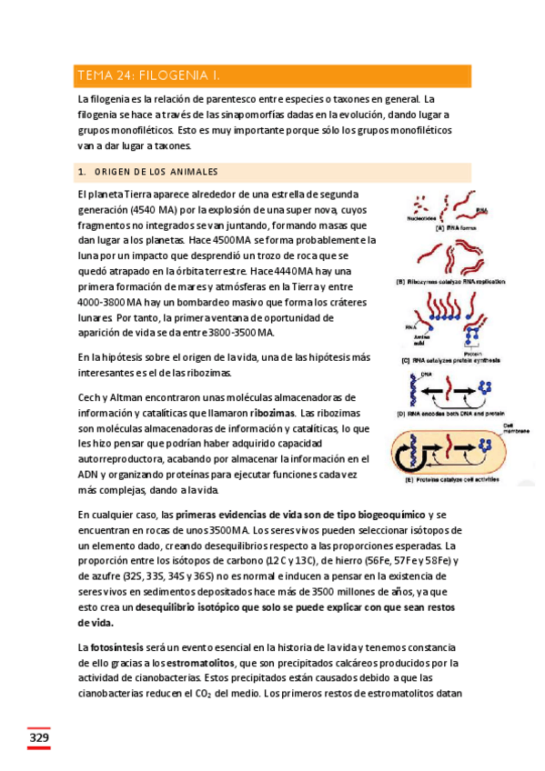Miniatura del documento Filogenia-I.pdf