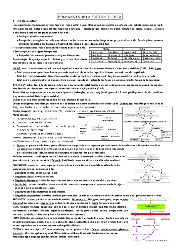 Miniatura del documento FONAMENTS-DE-LA-FISIOPATOLOGIA.pdf