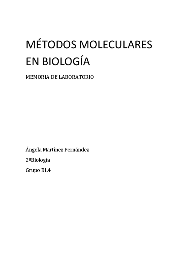 Miniatura del documento MMB-memoria.pdf
