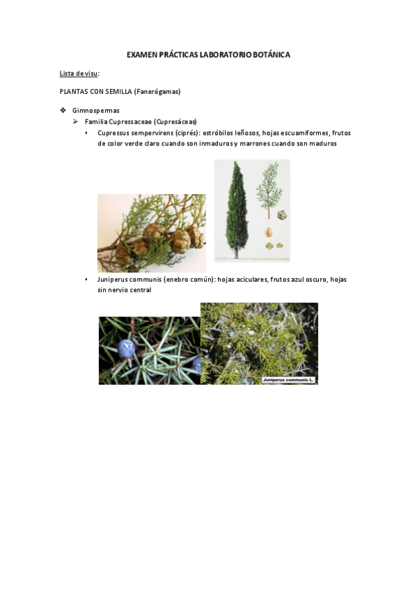 Miniatura del documento Lista-especies-visu.pdf