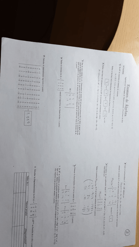 Miniatura del documento examen.jpg