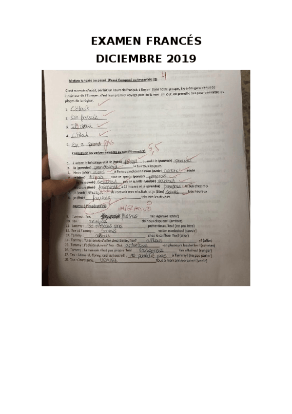 Miniatura del documento EXAMEN-DE-FRANCES.docx