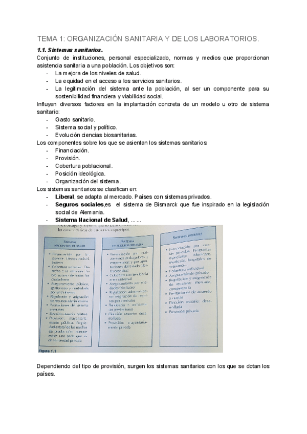 Miniatura del documento TEMA-1-ORGANIZACION-SANITARIA-Y-DE-LOS-LABORATORIOS.pdf