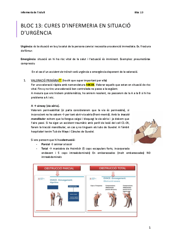 Miniatura del documento BLOC-13-cures-demergencia-Apunts.pdf