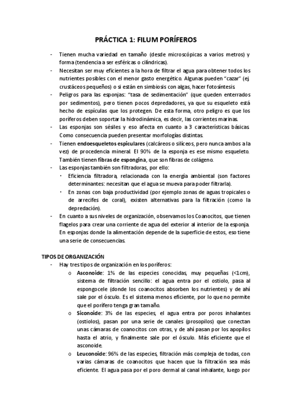 Miniatura del documento Práctica 1. Poríferos