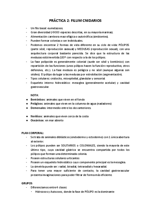 Miniatura del documento Práctica 2. Cnidarios