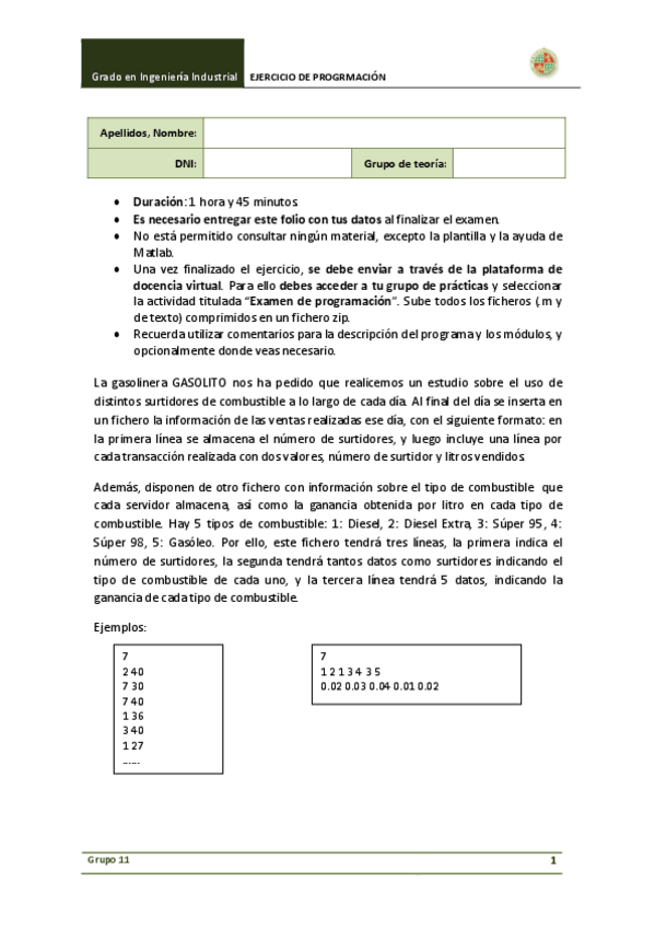 Miniatura del documento ExamenProgramacion_Gasolito.pdf