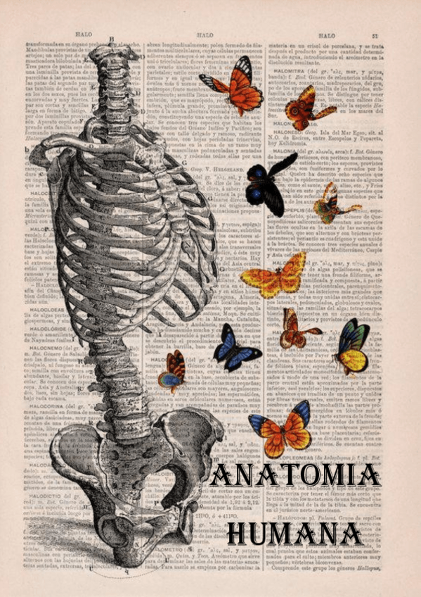 Miniatura del documento ANATOMIA-HUMANA-COMPLETO.pdf
