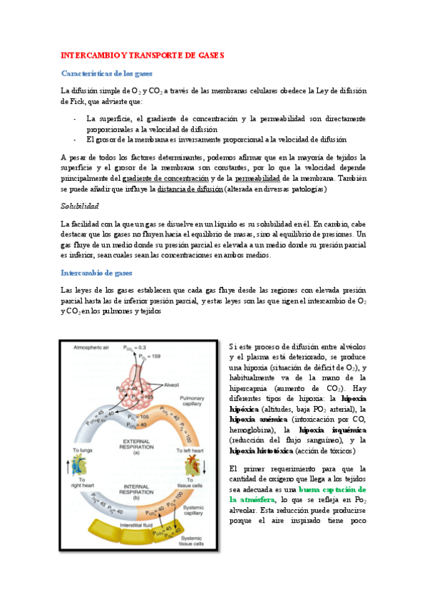 Miniatura del documento Intercambio y transporte de gases.pdf