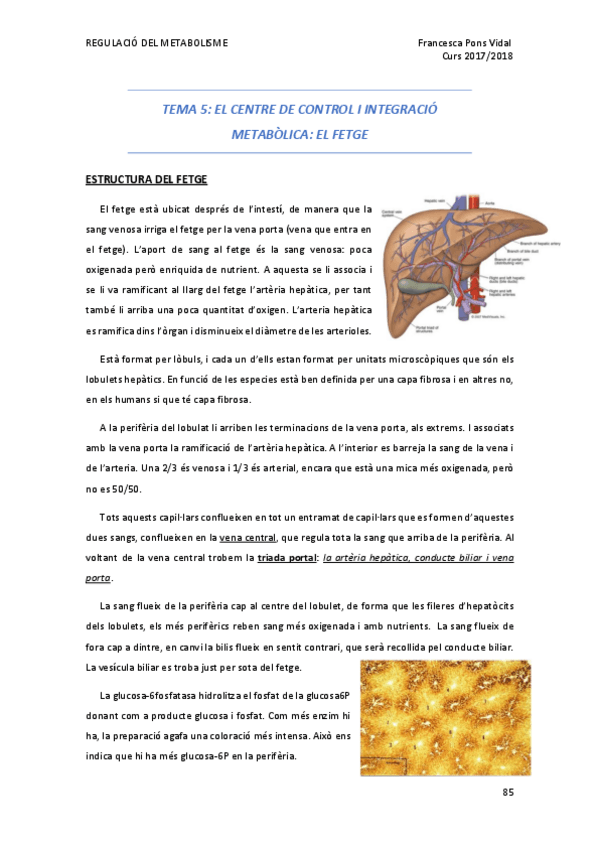 Miniatura del documento TEMA-5.pdf