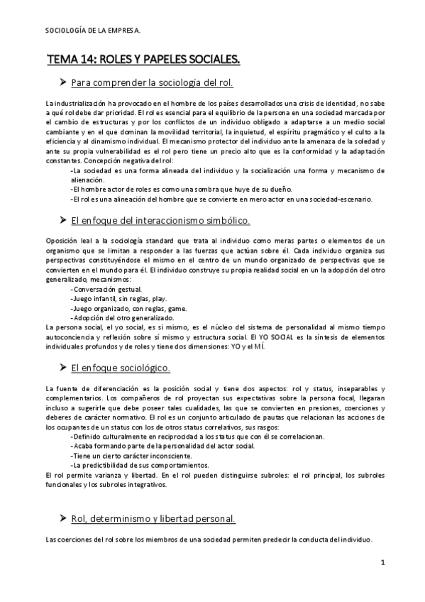 Miniatura del documento TEMA 14 ROLES.pdf