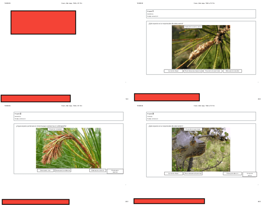 Miniatura del documento Visum-4-de-mayo-1200-a-1210-h-editado.pdf