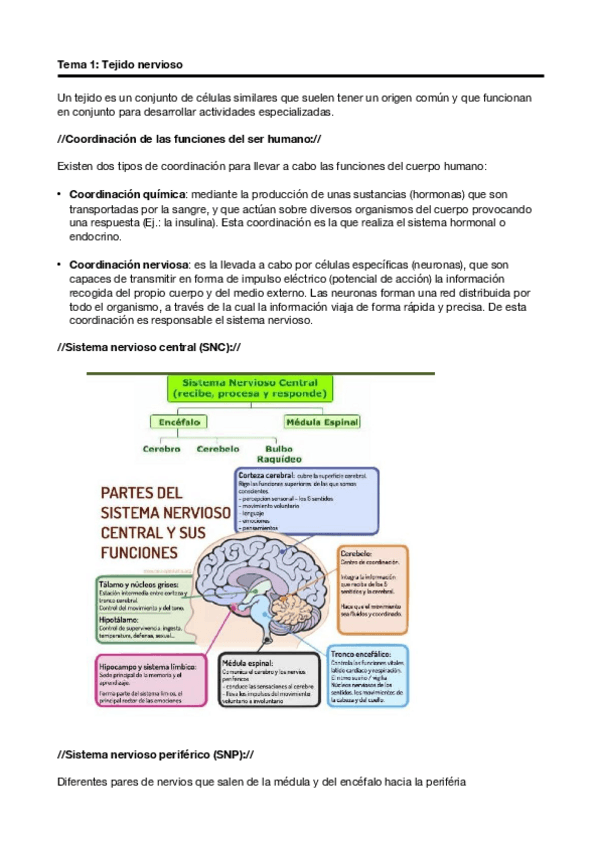 Miniatura del documento Temario-Completo.pdf