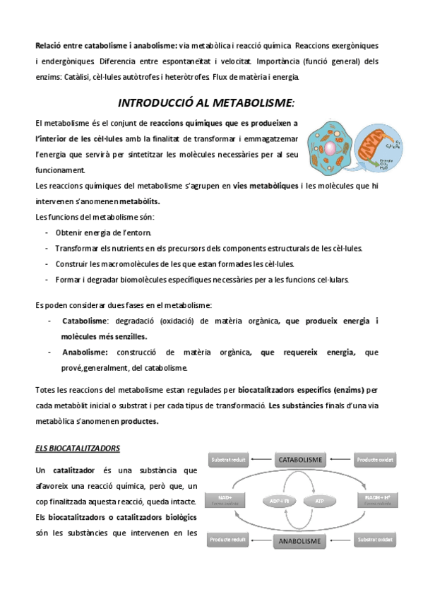 Miniatura del documento EL-METABOLISME.pdf