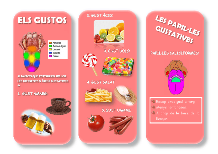 Miniatura del documento TREBALL-EL-GUST.pdf