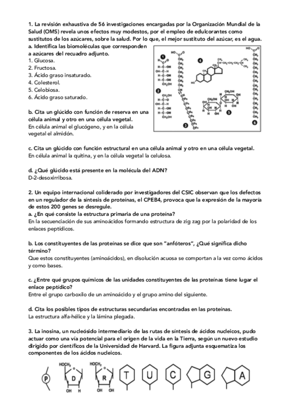 Miniatura del documento Preguntas-Ebau.pdf