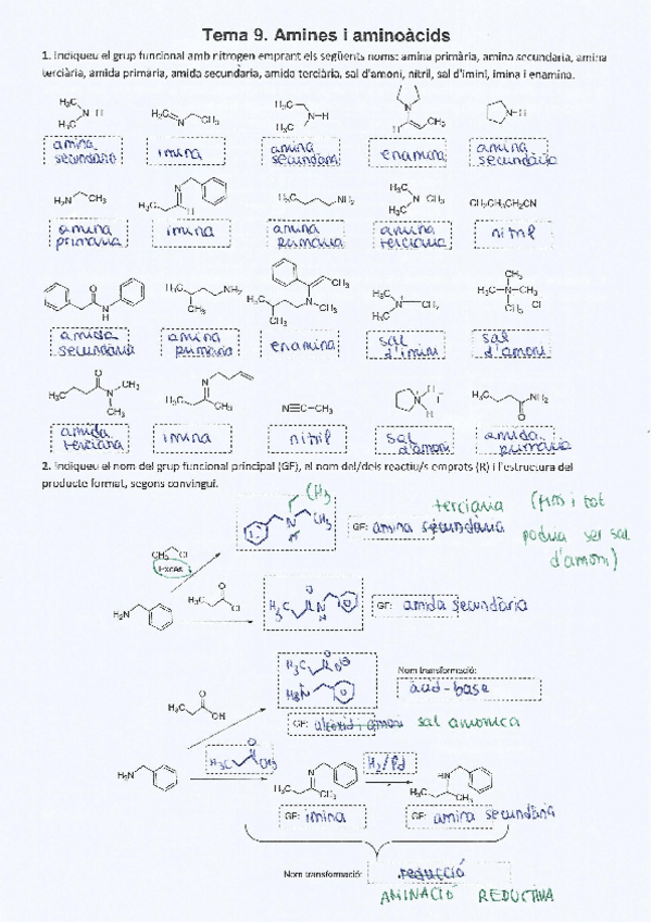 Miniatura del documento Exercicis-de-repas-tema-9.pdf