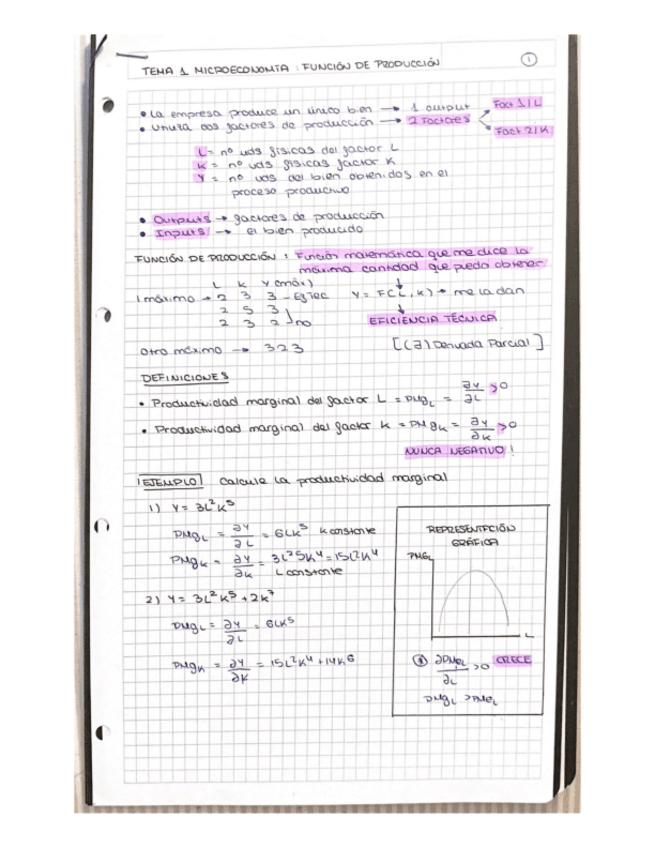 Miniatura del documento Temas-12-MICROECONOMIA.pdf