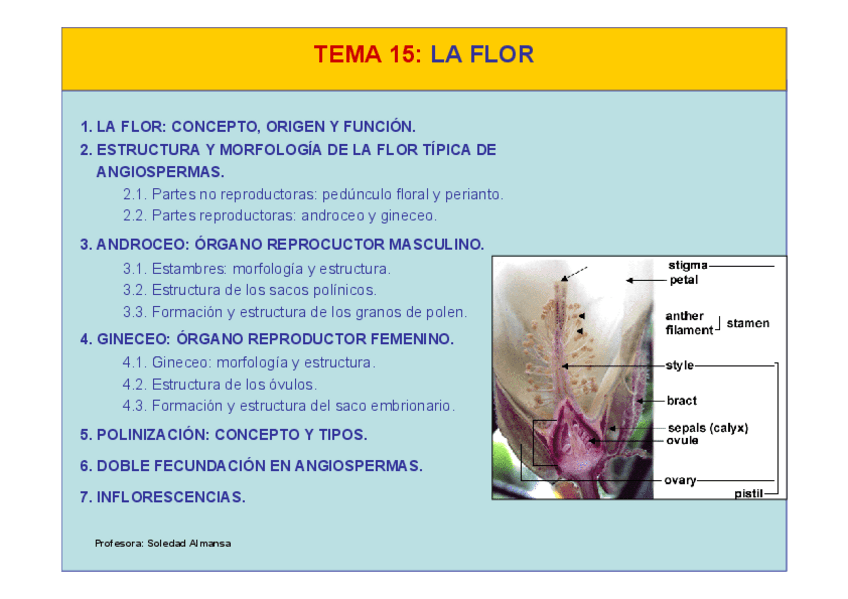 Miniatura del documento Tema15-La Flor.pdf