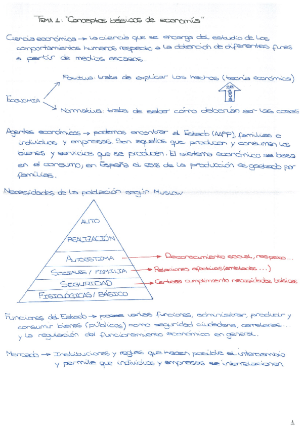 Miniatura del documento APUNTES-PRIMEROS-TEMAS.pdf
