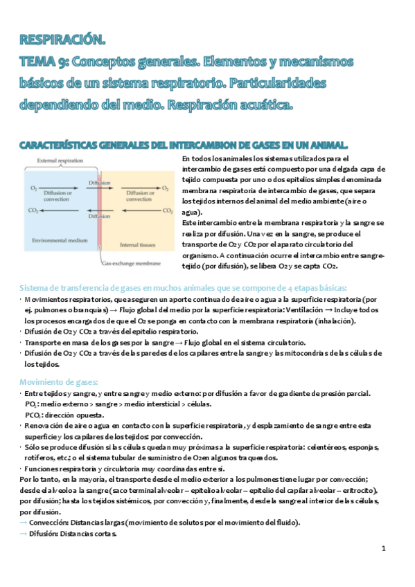 Miniatura del documento Tema 9 FA2.pdf