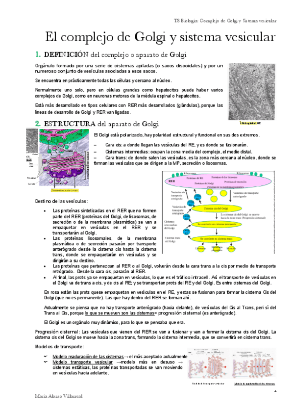 Miniatura del documento T8.pdf